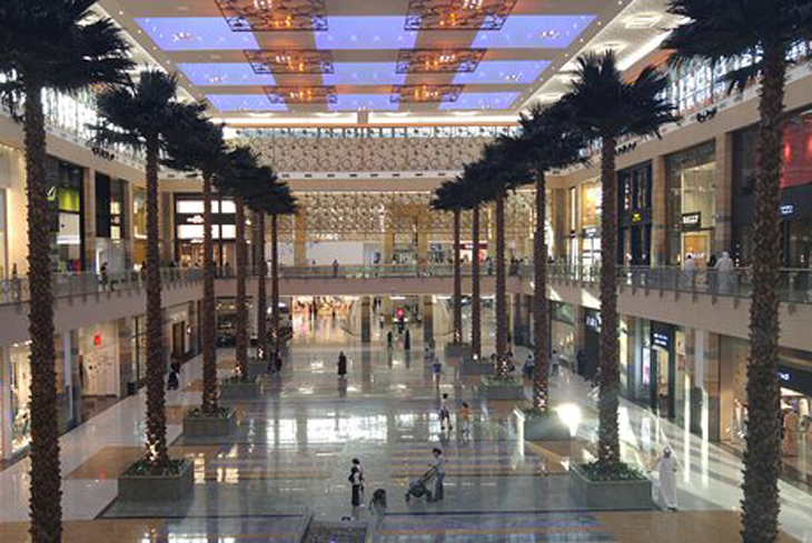 Dubai Commercial Center Palm Allee_a1b09_lg.jpg